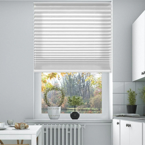 Venetian Blinds